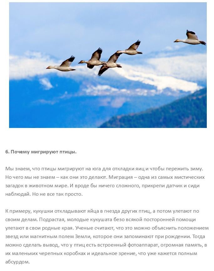 10 вопросов на которые ученые до сих пор не могут дать ответ