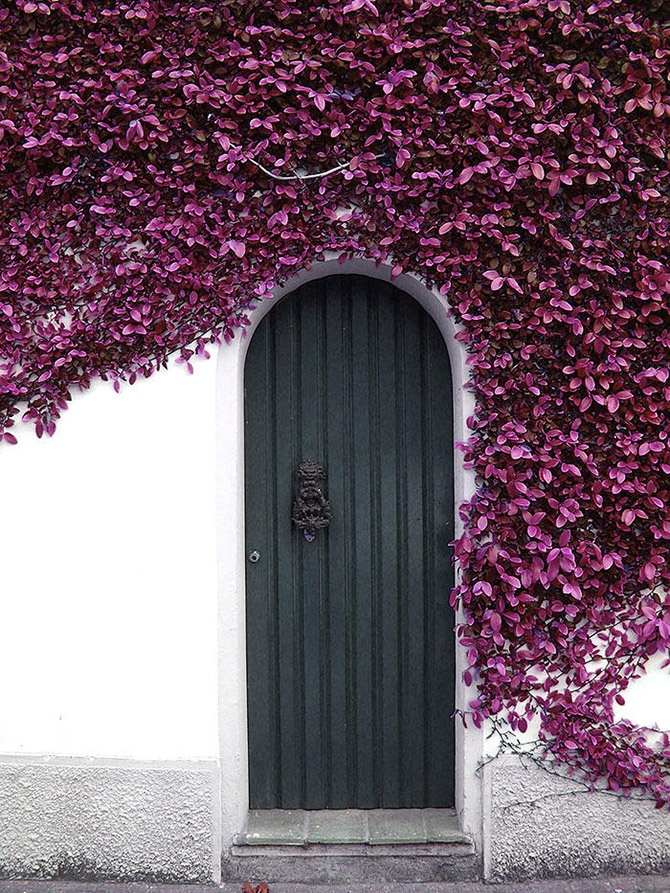 Красивейшие входные двери (26 фото)
