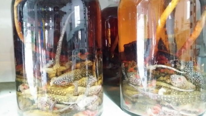 Необычные ингредиенты для производства элитного алкоголя в Китае (12 фото)