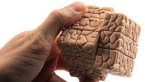 Человеческий мозг интересный факты
