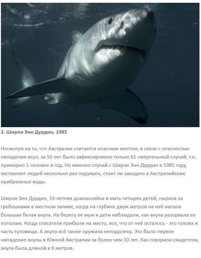 7 самых ужасных нападений акул