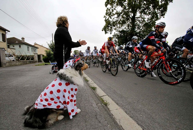 Самые яркие фотографии веломногодневки «Tour de France 2014»