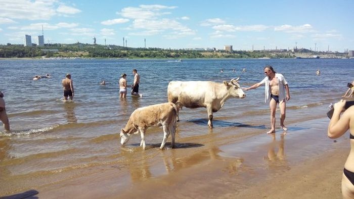 Прикольные картинки (110 фото) 22.07.2014