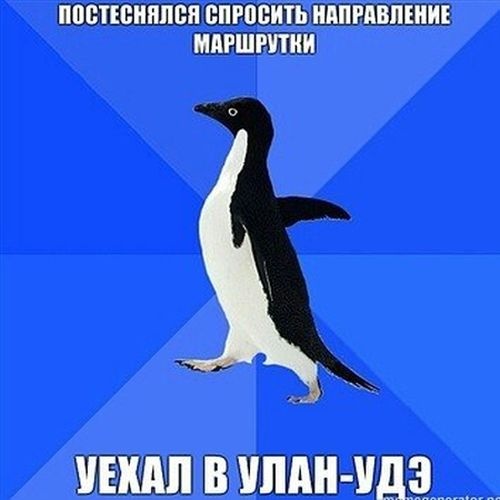 Прикольные картинки (97 фото) 25.07.2104