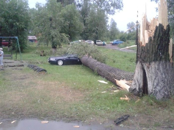 Прикольные картинки (97 фото) 25.07.2104