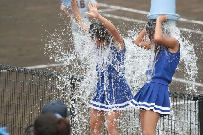 Прикольные картинки (97 фото) 25.07.2104