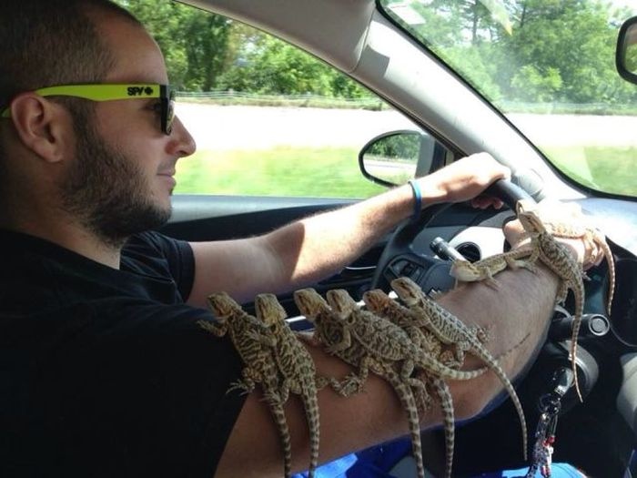 Прикольные картинки (97 фото) 25.07.2104