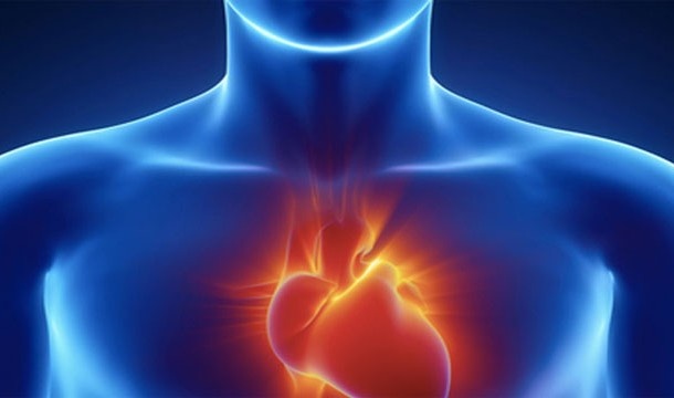 Удивительные научные факты о человеческом сердце