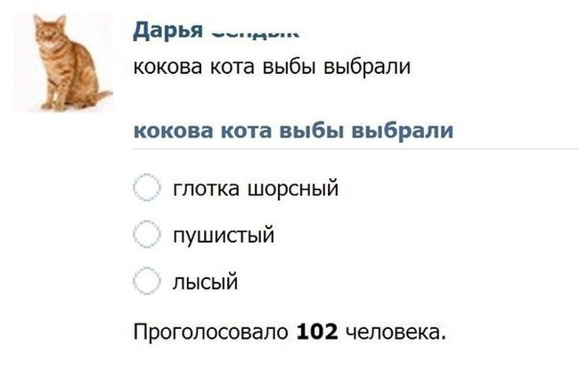 Прикольные картинки (101 фото) 01.08.2014