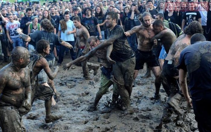 Прикольные картинки (101 фото) 01.08.2014