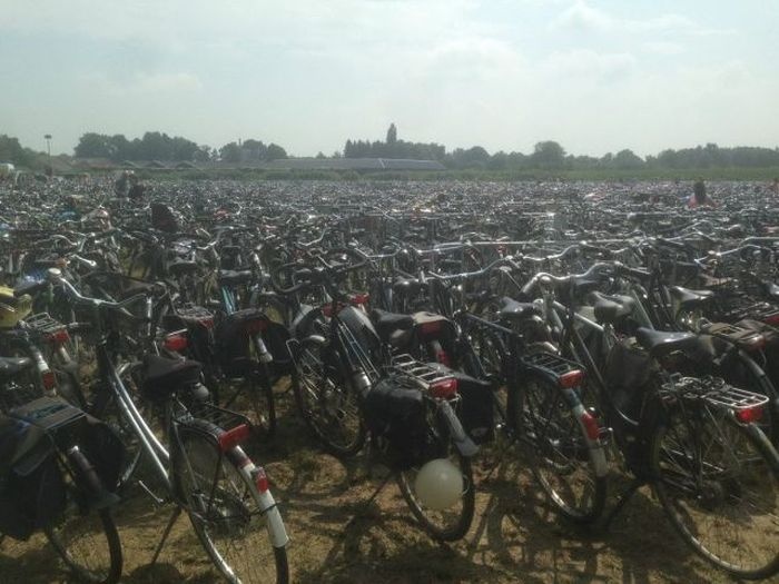 Прикольные картинки (101 фото) 01.08.2014