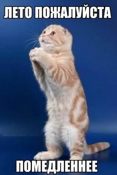 Прикольные картинки (101 фото) 01.08.2014