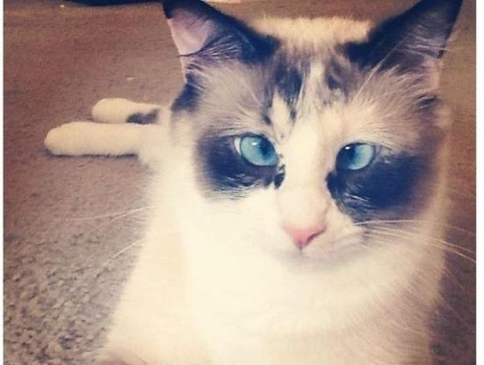 Прикольные картинки (101 фото) 01.08.2014