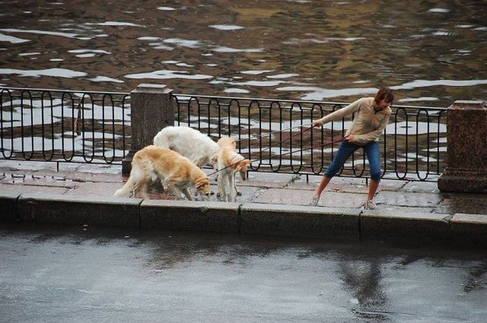 Прикольные картинки (116 фото) 05.08.2014