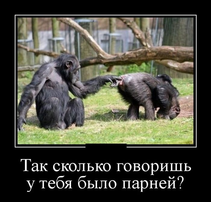 Демотиваторы (30 фото) 08.08.2014