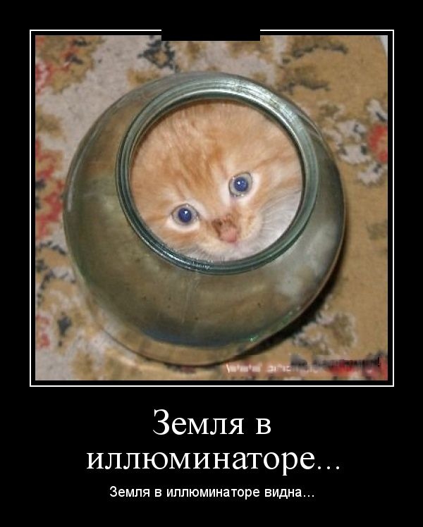 Демотиваторы (30 фото) 08.08.2014