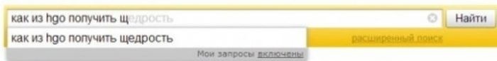 Нелепые запросы в поисковых системах (25 фото)