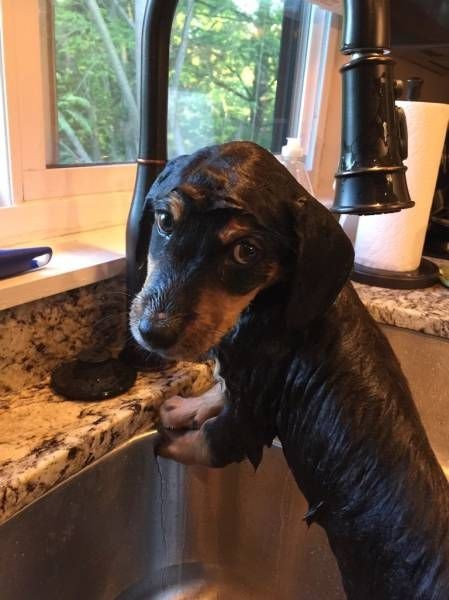 Прикольные картинки (109 фото)