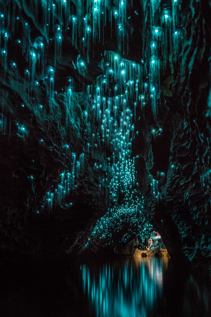 Пещеры Вайтомо – звездное небо из светлячков