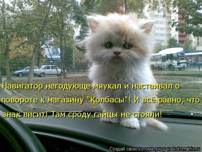 Забавные котоматрицы