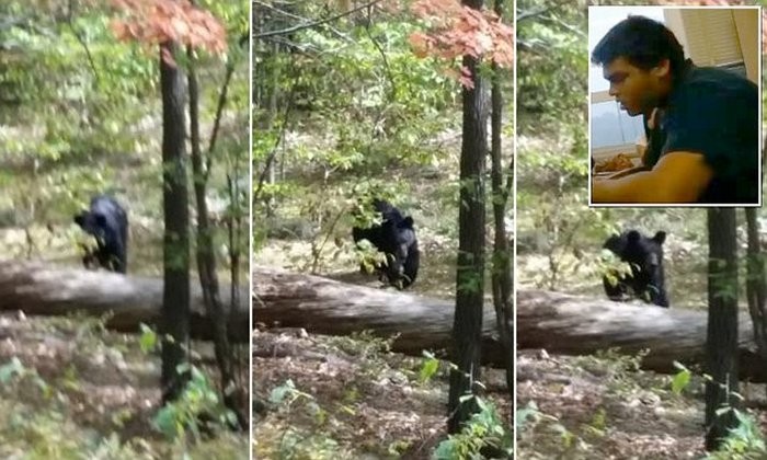 Студент сфотографировал медведя, который его убил (5 фото)