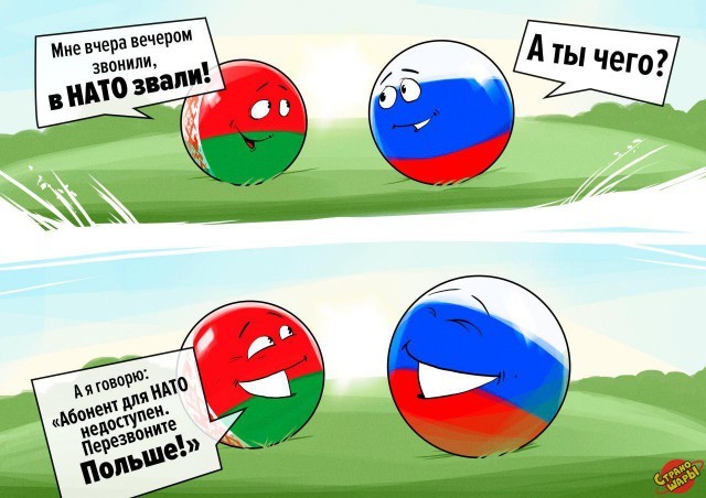 Политический юмор из серии Countryballs (11 картинок)