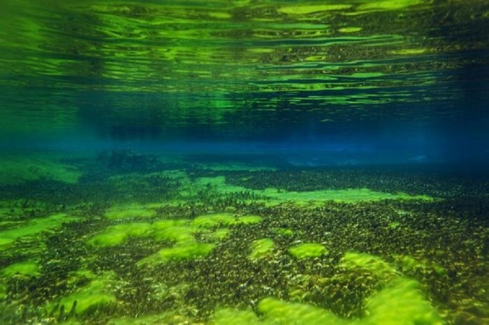 Самое чистое озеро на планете, но купаться в нем нельзя (14 фото)