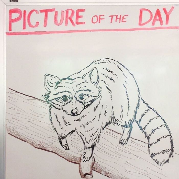 Учитель каждый день рисует новую картину для студентов