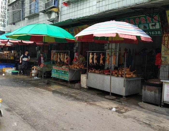 Фестиваль собачьего мяса в Китае