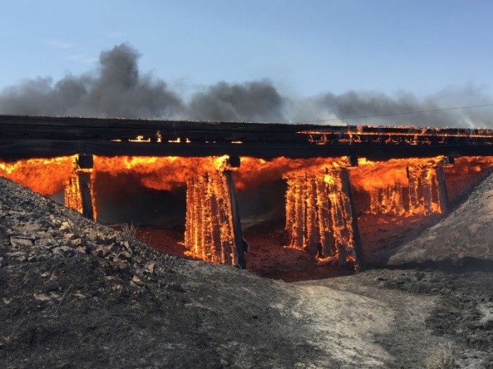 Прикольные картинки (120 фото)