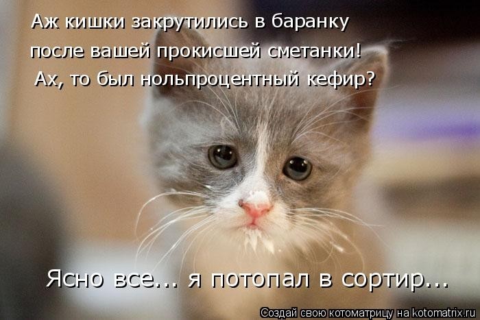 Забавные котоматрицы