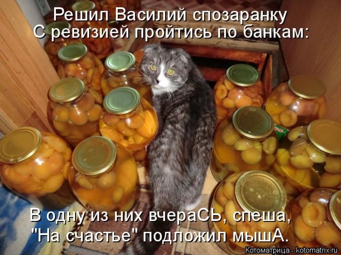 Забавные котоматрицы