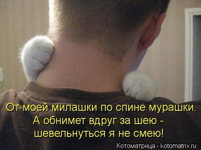 Забавные котоматрицы