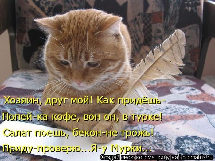 Забавные котоматрицы