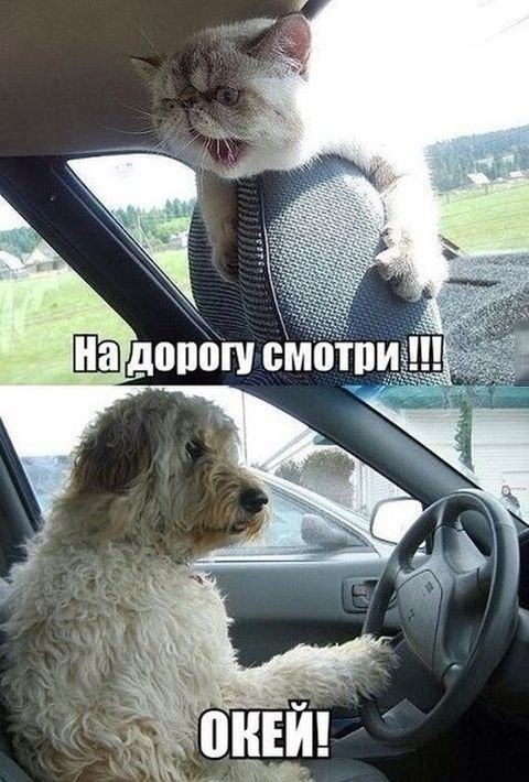 Автомобильный юмор