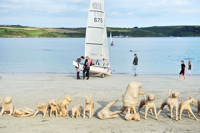 120 собак на ирландском пляже