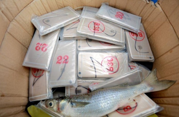 В Китае таможенники обнаружили у рыбаков весьма необычный улов