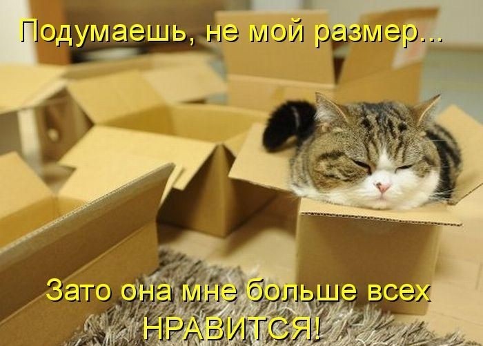 Забавные котоматрицы