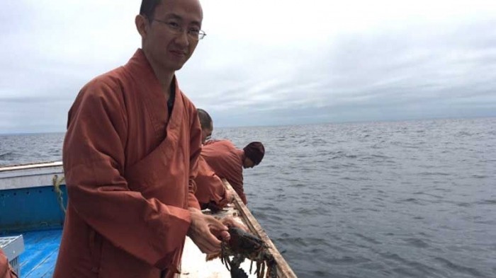 Буддийские монахи выпустили сотни омаров обратно в океан