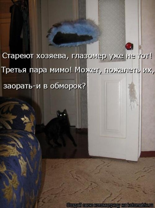 Забавные котоматрицы