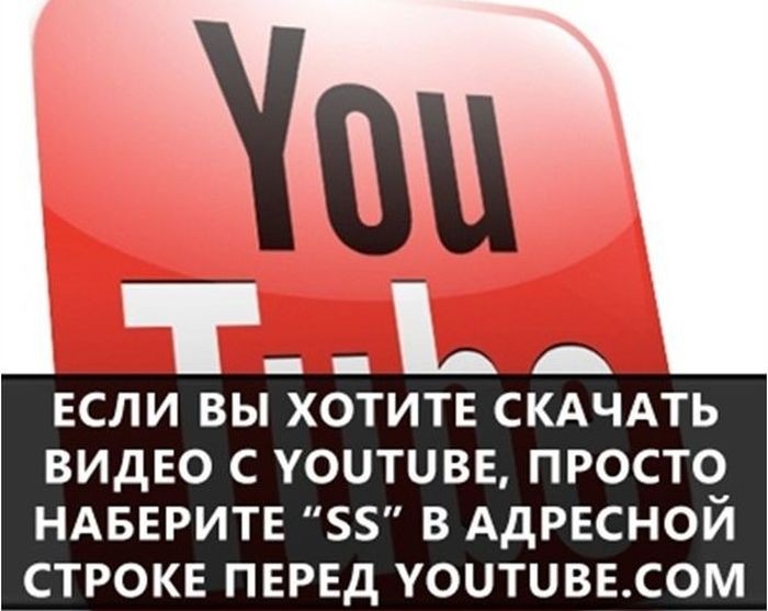 Познавательные факты обо всем на свете