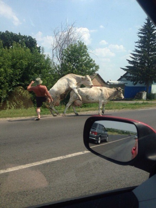 Чудики из социальных сетей