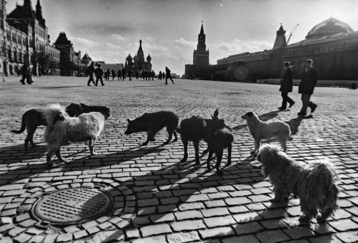 Москва начала 90-х на фото Геннадия Михеева