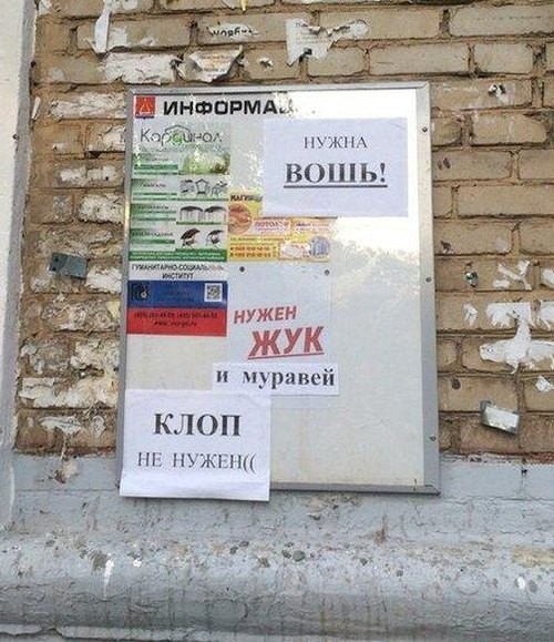 Прикольные надписи и объявления