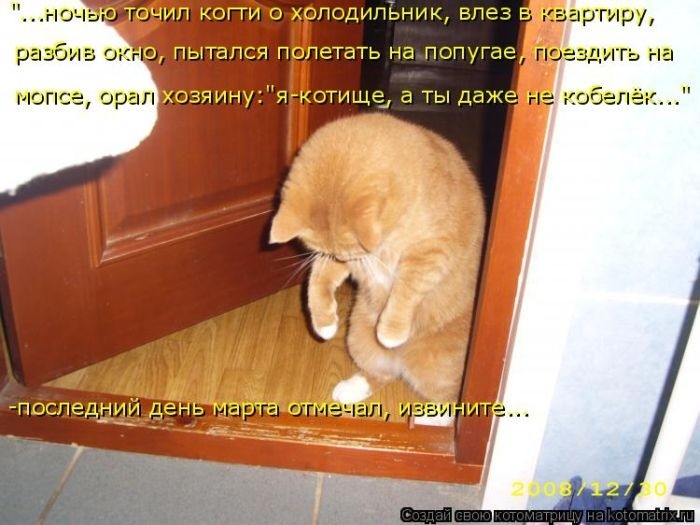 Забавные котоматрицы