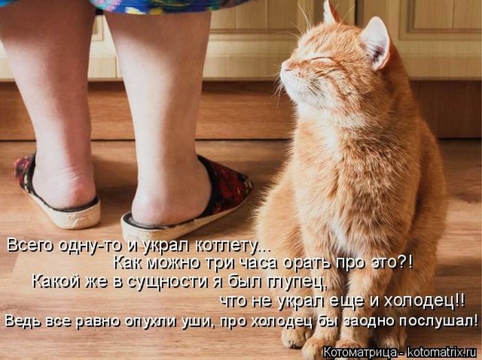 Забавные котоматрицы