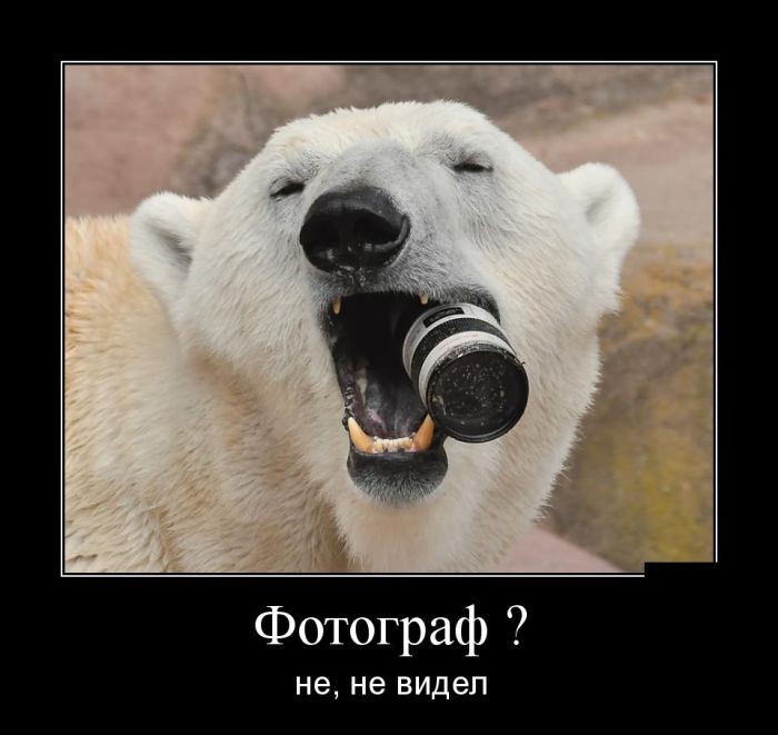 Демотиваторы (30 фото)