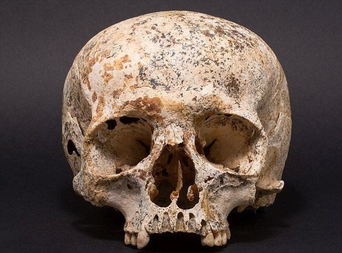 Ученные создали модель головы девушки, умершей 3700 лет назад