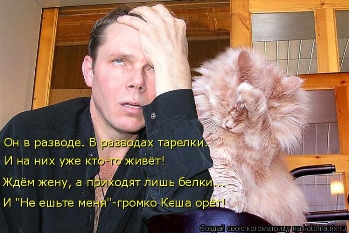 Забавные котоматрицы