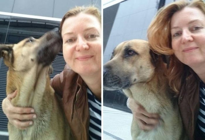 Стюардесса из Германии забрала бездомного пса, который полгода ждал ее у отеля